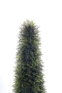 Vente chaude Treesmas 1.6 mètres de haut en forme de cône en plastique et métal arbre artificiel plante topiaire pour la décoration intérieure extérieure - Product Image 2
