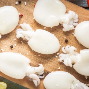 Proveedor de sepia congelada al por mayor, exportador de mariscos capturados en la naturaleza, procesamiento a granel de cefalópodos IQF de primera calidad para importadores - Product Image 2