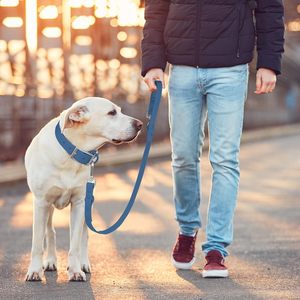 Correa Doble para Perros Personalizada, Impermeable, de PVC, Ajustable, Manos Libres, Multifuncional, con Hebilla Metálica Resistente - Product Image 4