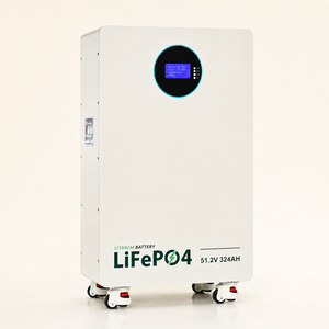 Batterie de stockage solaire résidentielle 16 kWh 51,2 V 314 Ah 8000+ cycles à 80 % DOD pour l'énergie de secours domestique - Product Image 1