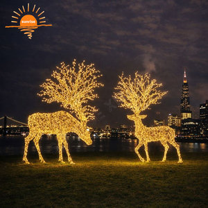 Lumière de nuit à motif de conception festivale, meilleurs éclairages de vacances, éclairage paysager pour grands centres commerciaux, lumière de motif de Noël - Product Image 6