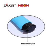 Briquet électronique design moderne imprimé avec logo personnalisé en matière plastique rechargeable USB avec boîte de présentation et emballage pour cigarettes