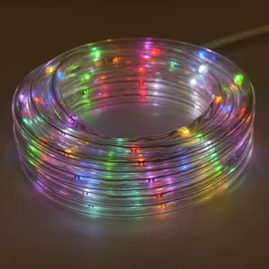 Hot Sale Dekorative LED Rope Light Wasserdichte Chasing Color Outdoor Rope Lights