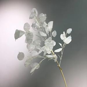 Vente en gros Décoration nordique moderne pour la maison <span class=keywords><strong>Lunaria</strong></span> artificielle à feuilles blanches Plante annuelle argentée pour mariage et Noël - Product Image 4