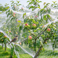 Filet de protection robuste en rouleau pour volailles, idéal pour la protection des volières, vergers de cerises, myrtilles, fraises et pêchers