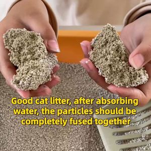 10 litres de litière pour chat en bentonite, facile à nettoyer, sans poussière, forte absorption - Product Image 6