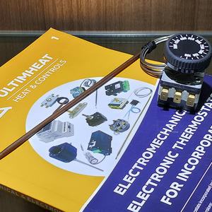 Termostato de rango alto: Control de 60-500 °C para aplicaciones de temperaturas extremas - Product Image 5