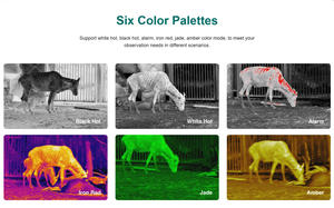 Kleine hand gehaltene Wärme bild kamera für den Außenbereich Monokulare Infrarot-Nachtsicht erkennung Jagd kamera Thermo teleskop Fernglas - Product Image 4