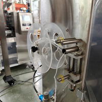 Machine d'emballage automatique de sachets de thé triangulaires de haute précision contrôlée par PLC pour sachets de thé au jasmin en nylon
