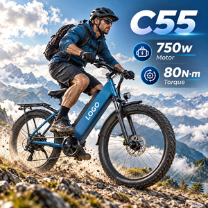 จักรยานไฟฟ้า Chamrider 750W สำหรับการขนส่งเชิงพาณิชย์ 48V 55Ah ยางขนาด 26x3.0 นิ้ว แรงบิดสูง 80 นิวตันเมตร เบรกดิสก์ไฮดรอลิก พร้อมตะแกรงบรรทุกด้านหลัง รุ่น C55 - Product Image 1