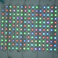 Source de lumière ponctuelle miniature RVB programmable, étanche et haute luminosité pour l'éclairage extérieur des toits et façades d'hôtels