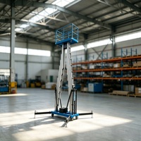 Plateforme élévatrice verticale hydraulique électrique remorquable à double mât en aluminium, hauteur de levage 10m, charge 300kg, vitesse 5m/min, portable pour usage intérieur