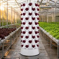 Tour hydroponique à haut rendement à 10 niveaux pour la culture d'ananas avec pompe submersible et pots en filet pour l'agriculture verticale intérieure