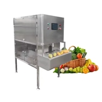 Automatische fruit- en groenteschilmachine van roestvrij staal, industrieel, voor mango, ananas, aardappel, sinaasappel, commerciële voedselverwerking