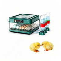Incubateur automatique compact pour 6 à 36 œufs de poulet, caille et pigeon, avec conception économe en énergie