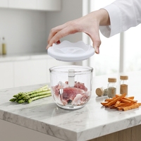 Mini hachoir à ail électrique, hachoir à viande et légumes, robot culinaire portable sans fil