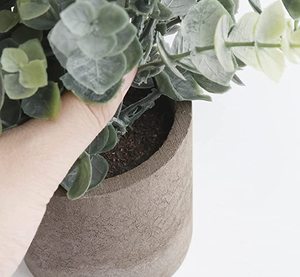 Mini plantas artificiales en maceta, plantas <span class=keywords><strong>de</strong></span> eucalipto <span class=keywords><strong>de</strong></span> plástico, plantas <span class=keywords><strong>de</strong></span> Romero <span class=keywords><strong>de</strong></span> imitación, decoración <span class=keywords><strong>de</strong></span> escritorio para el hogar, jardín y oficina, juego <span class=keywords><strong>de</strong></span> fábrica <span class=keywords><strong>de</strong></span> 3 uds. - Product Image 2