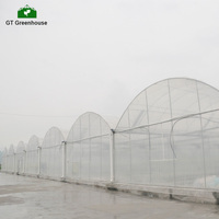 GT — serre de culture commerciale, couverture pour cultures agricoles, toutes tailles