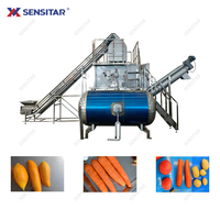 Ligne de traitement des frites non destructives à grande échelle 2 T/H éplucheur à vapeur automatique de pommes de terre de manioc Machine à éplucher à vapeur de tomate