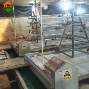 High Quality 3 <strong>Layer</strong> Cages Chickens <strong>Automatic</strong> Poultry Farming <strong>Feeding</strong> <strong>System</strong> 128/160 Capacity Chicken Cage - Product Image 3