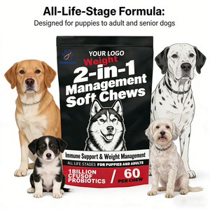 Suplemen Penurun Berat Badan Anjing OEM/ODM Soft Chews dengan 1 Miliar Probiotik untuk Metabolisme Sehat & Otot Ramping - Product Image 4