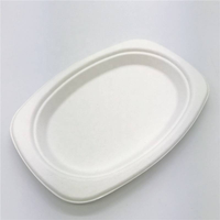 Assiettes ovales robustes 9x6 pouces en bagasse de canne à sucre, compostables, écologiques, résistantes aux fuites et aux coupures, vaisselle jetable