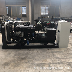 Groupe électrogène diesel Weifang 100 kW 400 V 50 Hz pour hôpitaux avec ATS - Product Image 3