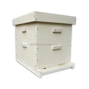 Langstroth 10 Frame Bee Hive Box Plastic Beehive 10-Frame Hives Complete