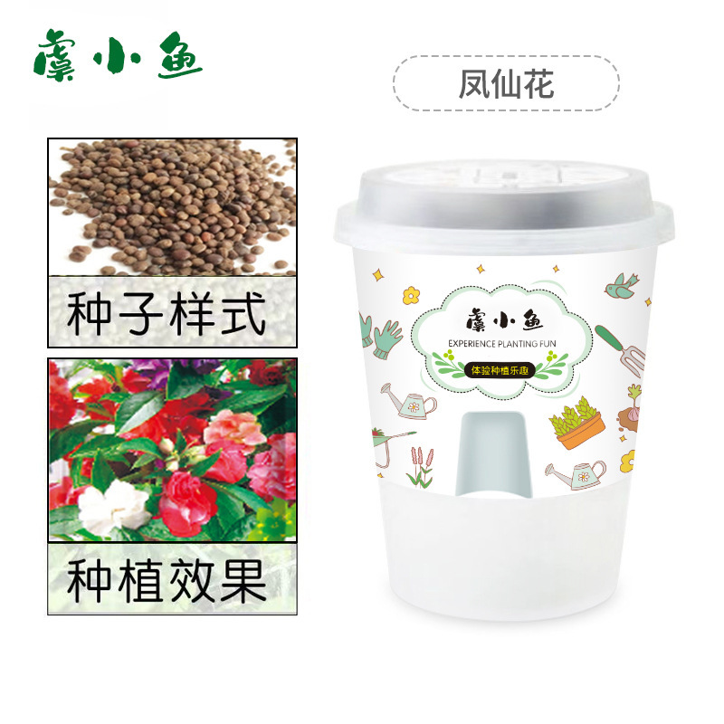 Kit de plantation d'Impatiens