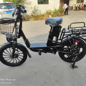 新款电动货运自行车48v城市电动无刷轮毂电机Ebike成人20*3.0脂肪Ebike带电池