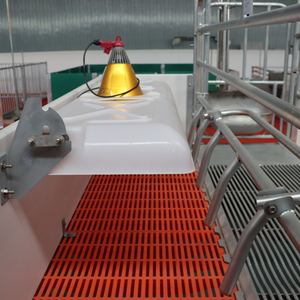 <span class=keywords><strong>Prix</strong></span> d'usine, cages <span class=keywords><strong>de</strong></span> mise bas pour truies à vendre, cages pour animaux d'élevage porcin, équipement d'élevage porcin, cage à porcs - Product Image 5