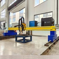 Machine de Découpe Plasma à 5 Axes Portique 6030 CNC, Découpeuse pour Acier Inoxydable et Acier au Carbone