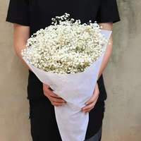 Украшение для дома, засушенная одежда для детей, украшение для свадьбы, Гипсофила