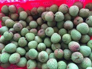 Fruta dulce fresca Litchi no lichi lata comida Fei Zi Xiao Litchi