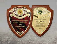 Plaque de trophée personnalisée de haute qualité en bois vierge avec support en métal et socle en bois