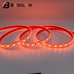 ไฟ LED แถบกันน้ำ IP68 สำหรับตกแต่งถนนในเทศกาลคริสต์มาส ไฟแบ็คไลท์ติดผนังภายนอก ไฟ LED สำหรับสระว่ายน้ำกลางแจ้ง ไฟตกแต่ง - Product Image 2