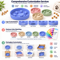 Bol de nourrissage lent en silicone rond antidérapant pour chien, qualité alimentaire, motif empreinte de patte peu profonde