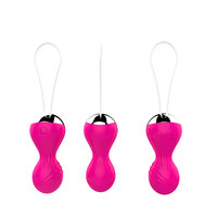 10-Frequenz Wasserdichter Silikon-ABS-Vibrator mit Kabelloser Fernbedienung USB-Aufladbar G-Punkt-Stimulator für Erwachsene Frauen