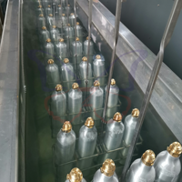 Cilindro de CO2 de aluminio de 0.6L y 425g de la fábrica ZX, con certificación TPED DOT, recargable, para bebidas carbonatadas, suministro al por mayor, ODM, OEM.