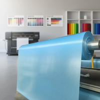 Rouleaux de bâche PVC sur mesure, enduits au couteau, imprimables, toutes tailles et couleurs disponibles