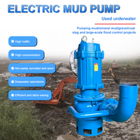 Pompe submersible électrique monophasée 220 V à grand débit pour le transport de boues sur longue distance, idéale pour le dragage de rivières et de bassins.