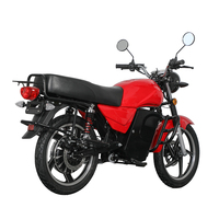 Motocicleta Eléctrica de Fábrica China, Velocidad 70 km/h, Batería de Litio Potente, Batería de Plomo-Ácido