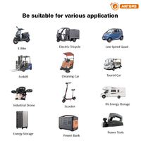 ANT BMS LiFePO4 Lithium-Ion 485 CAN avec GPS 3-4S 7-16S 7-24S 22S 30S 32S 24S BT APP Moniteur PCBA BMS 16S 200A BMS 48V LiFePO4
