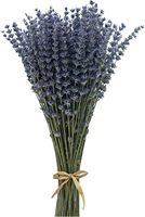 Bunga Lavender Kering Alami 100% untuk Dekorasi Rumah dan Rangkaian Bunga