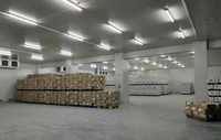 Chambre froide à atmosphère contrôlée haute efficacité pour la conservation longue durée des raisins frais