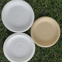 Vente en gros Assiettes alimentaires jetables sans BPA en plastique MFPP Vaisselle à emporter écologique