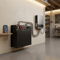 Batterie murale LiFePO4 51,2V 100Ah 5120Wh 3U avec protection BMS, CAN, garantie 5 ans, compatible avec la plupart des onduleurs solaires