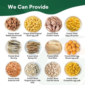 Snack Liofilizzati per Gatti e Cani ad Alto Contenuto Proteico di Pollo, Senza Additivi, Produzione all'Ingrosso di Alimenti per Animali Domestici - Product Image 4