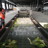 Automatische industriële fruit- en groentewaslijn voor appel, aardappel, tomaat, roestvrij staal 304, hoge efficiëntie