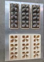 Moule en plastique pour barquette à œufs, moule ABS, moule en aluminium pour machine – Offre Spéciale